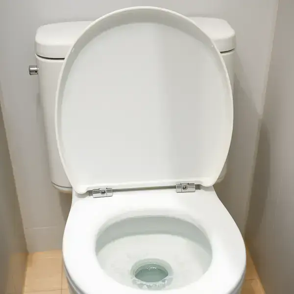 トイレ 施工前